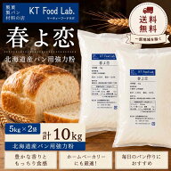 【スーパーSALE限定★20%OFF】【 送料無料 】 春よ恋 10kg ( 5kg × 2袋 ) ヤマチュウ 国産 強力粉 小麦 …