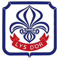 【 送料無料 】 リスドール 10kg （ 1kg×10袋 ） 準強力粉 リスドォル フランスパン用 粉 パン フランス…