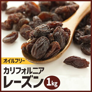 [Y 1kg / hCt[c  p p pޗ z[x[J[ 1L