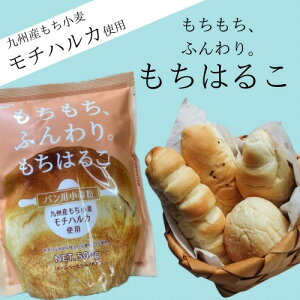 F{ ͂邱 500g pp ͕   p z[x[J[ p~bNX p~bNX pp  `nJ