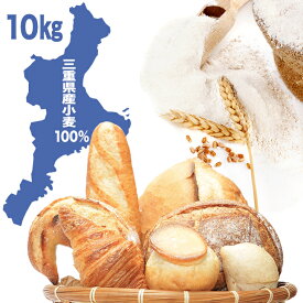 【送料無料】 タマイズミ 準強力粉 10kg （ 1kg×10袋 ） 平和製粉 / 中華麺用粉 製パン用粉 ホームベーカリー 送料無料 10キロ 【同梱不可】