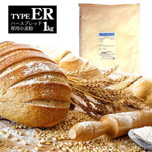 n[Xubhp TYPE-ER 1kg  ]ʐ / kCY n[Xubh tXpp Y   tXpp / ^CvER type ER p tXp z[x[J[ 