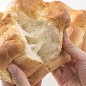 IׂppZbgA ǂ10 X[p[LO / u / X[p[t@C / GR[h / fGI / X[p[J / Wf[ / ZC@[ Ȃ ysz