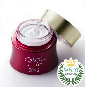 TeBXEX r[eBN[ 40g yzeN[  qpimN[ imeNmW[ e ϕi RX TeBXAt@ satysa {