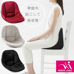 cosios PREMIUM �R�V�I�X �v���~�A�� �y���������z ���֎q �֎q ���p�� �p�� �L�w �w�� �䂪�� ���Ջ��� �p�����P �� �t���[�����O �I�t�B�X �e�����[�N �� �N�b�V���� �j�[�Y �j�����p ��̓� 8223