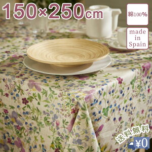 e[uNX Wm 150×250cm yz 100 XyC ` lp p^  ԕ A t[  zCg Jt i`  _CjO lbg ̓