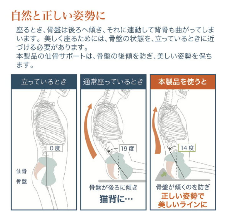 春の新作 丸菱工業 クッション 仙骨サポート 座布団 快適 骨盤 正しい姿勢 背筋伸びる 猫背予防 疲れにくい 学習クッション 補助クッション 疲れない サポート 姿勢良くなる テレワーク Marubishi メーカー正規品 Tartascristina Com