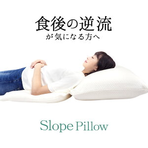 X[vs[ SlopePillow  NbV ᔽ Ԃ킽 eZ \ ݐHt H tH yz
