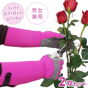 \tg K[fO[u 2oZbgy SALEz  O[u K[fjO o gQ   v | MU[D tBbg jp