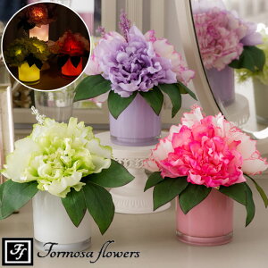 ^C}[@\t LEDCg tsIj[OX   sIj[  LED Cg Ɩ t[AW  Formosa flowers CeA Mtg v[g ̓