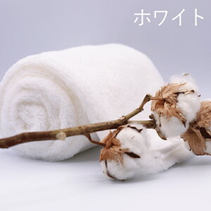 Q 킽̂͂ No.3 n[toX^I 34×120cm yz^I  Rbg Gj[^C {  Mtg 蕨 v[g j