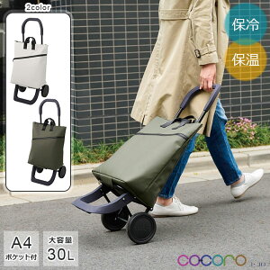 WFX J[gZbg yz JESS VbsOJ[g J[g  2way obO g[gobO A4 ۗ ۉ @\ e 30L  jp jZbNX ̓ J[L O[ Vv 