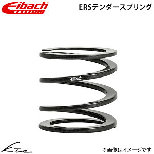 �A�C�o�b�n �e���_�[�X�v�����O ERS�yERS-0040-60-0030�z ID:60 62mm 3.05k 1�{ �y�X�����Ή����i�z