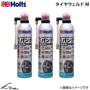 �z���c �^�C���E�F���h M 3�Z�b�g�yMH793×3�z 400ml �z���g Holts