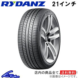 サマータイヤ レイダン RALEIGH R06【295/35ZR21 107W XL】Z0152 RYDANZ SHIBATIRE シバタイヤ 295/35R21 295/35-21 21インチ 295mm 35% 夏タイヤ 1本 4本セット 1台分 一台分【店頭受取対応商品】