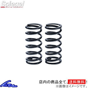 �����X�v�����O 2�{�Z�b�g �V���s�[�Q�� �����X�v�����O 62�� 160mm 7k SKP-SPT6216007-1 Spiegel ID62 �������X�v�����O �X�g���[�g�X�v�����O �ԍ����I�v�V�����y�X�����Ή����i�z