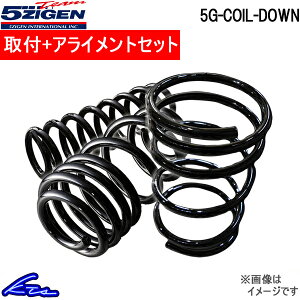 Zie-power C27n _ETX 1䕪 5 5G-COIL-DOWN 5GND035 5ZIGEN ܎ SWQ 5GRC_E 䕪 SERENA ep[ [_EyXΉiz