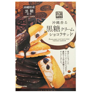 沖縄 お土産 珍品堂 沖縄県産黒糖 濃厚クリーム 沖縄の塩 沖縄香る黒糖クリームショコラサンドミニ 3枚