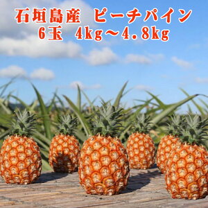 �\��̔� 4����{�����\�� �p�C�i�b�v�� �t���[�c �ʕ� �썑 �M�t�g ��̓� ���ꌧ�Y �Ί_���Y �s�[�`�p�C�� 3��/6�� �p�C���_�ƒ���