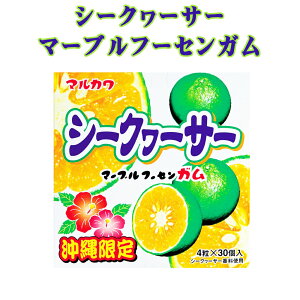 }J t[ZK  yY ̑ V[N[T[ }[ut[ZK 4×30