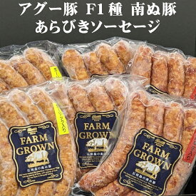 ソーセージ 石垣島産豚肉使用 沖縄 お土産 アグー豚 F1種 南ぬ豚 あらびきソーセージ 100g 冷凍 プレーン/にんにく味/島唐辛子入り