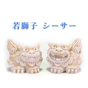 _ q N  yA   yY yY  ᎂq V[T[