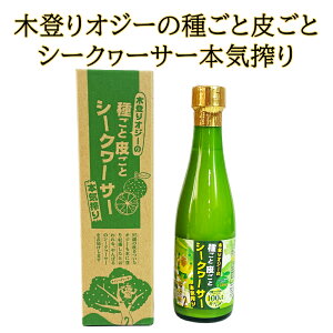 yVX[p[SALE 10%OFF V[N[T[W[X Xg[g mr`134mg NG_ VRr^~C ^Q`  yY ؓoIW[̎킲Ɣ炲ƃV[N[T[ {C 300ml
