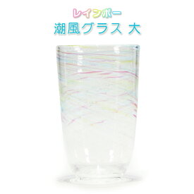 琉球ガラス 琉球グラス コップ ガラス グラス 沖縄 贈り物 ギフト お土産 家飲み 潮風グラス 大 レインボー
