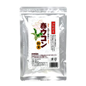 楽天スーパーSALE 10%OFF 沖縄 お土産 琉球 ウコン サプリメント サプリ 沖縄産 お酒好き 美容 健康【春ウコン粉末 スタンド袋 100g】