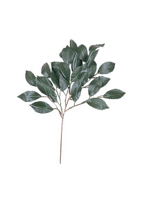 �_�� �� �l�H�� 1�{ ������ �_�I ������ �t �c��� �_�k�d