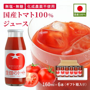 Yg}g100%W[X 160ml×6{ r ݂TCY Zbg Y Z Rs ng}g R` Xg[g Mtg v[g 蕨  䒆 ăMtg  H NK