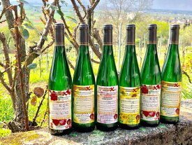 日本酒酵母で造った、驚きのドイツワイン　＜SAKE WINE＞第一弾　2018 SAKE WINE Auslese（ひまわりラベル）750ml/ALC11度/ブドウ品種　ゲヴュルツトラミネール100％　ステンレスタンク熟成