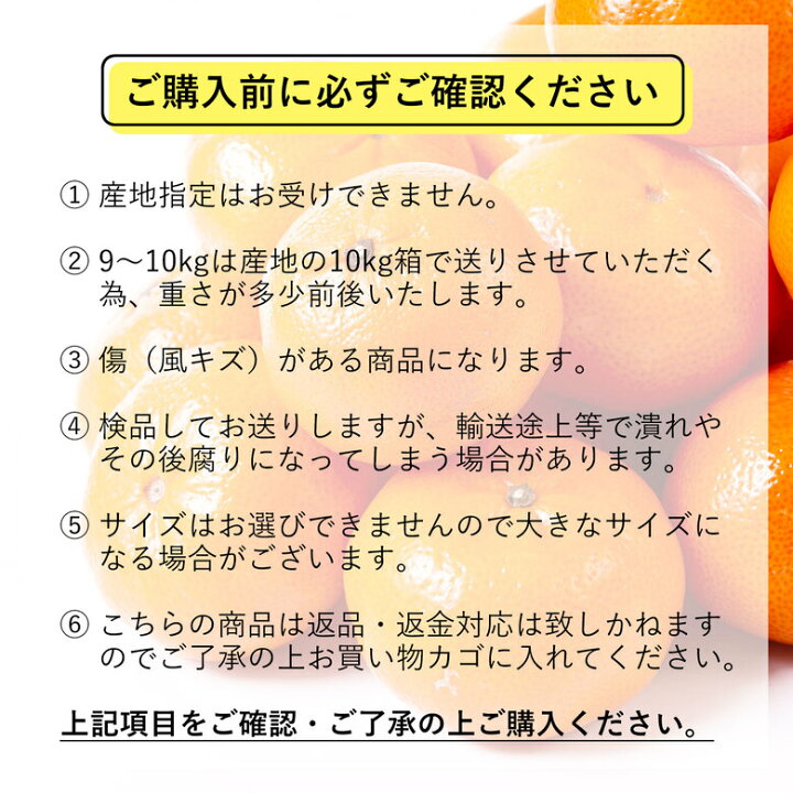 楽天市場】レビュー☆4.33 【11月初旬から順次ご発送】 安心の自社検品 