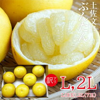 楽天市場】文旦 訳あり 10kg 送料無料の通販