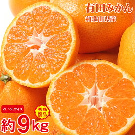 【11/10限定★ポイント10倍！※要エントリー】【11月中旬以降から順次ご発送】 送料無料 有田みかん 約9kg 2L 3L 秀品 優品 家庭用 和歌山県産 和歌山みかん 温州みかん サイズ混合 国産 国産みかん ご家庭用 和歌山 みかん 和歌山産 温州早生 ご自宅用