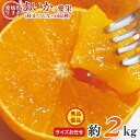 【11/15限定★1等最大100％ポイントバック！※要エントリー】【12月初旬から順次ご発送】送料無料 安心の自社検品 愛媛県産 あいか 愛果 紅まどんな みかん 愛媛みかん 愛まどんな 訳アリ サイズお任せ 秀品 優品 約 2kg みかん 国産 国産みかん 愛媛県 愛媛 紅マドンナ