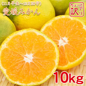楽天市場 温州みかん 10kg 送料無料の通販 楽天市場 温州みかん 10kg 送料無料の通販