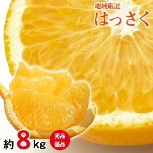 y2026N2{珇zy͂ 8kg z  n挵I ͂  󂠂 8kg Gi Di 傫C TCY    9kg ` 10kg a̎R Q L ݂ Y Y