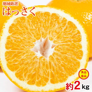 y2026N2{珇zy ͂ 2kg z  n挵I ݂ ͂   2kg Gi Di ݂ a̎R Q L Y Y݂ ƒp ݂ p ʕ 