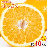 送料無料 和歌山県 和歌山みかん はっさく 八朔 大きさバラバラ L 2L 3L サイズ混合 約 10kg 前後 みかん 国産 国産みかん ご家庭用 みかん ご自宅用 加工用 果物 くだもの フルーツ 敬老の日 ギフト 訳あり