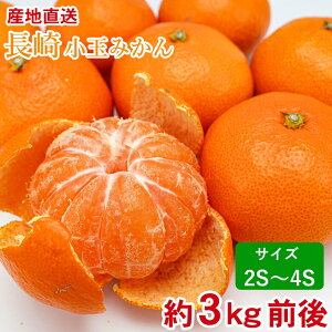 y11{珇z菬ʂ݂ 3kg G Di Yn 茧  B݂ ݂  3kg 茧Y ݂ Y Y݂  Â ƒp p ʕ ʔ  