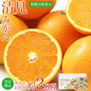 �y3�����{�ȍ~���珇���������z�y ���� �݂��� �� 2kg �z �������� �G�E�D�i �����I�����W �����݂��� �T�C�Y���C�� M �` 3L 2�L�� �a�̎R���Y �a�̎R�� �a�̎R �I�����W ���Y ���Y�݂��� �� 