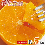 【11月下旬から12月15日の期間に順次ご発送】【 愛媛 あいか 約 5kg 】 送料無料 安心の自社検品 愛媛県…