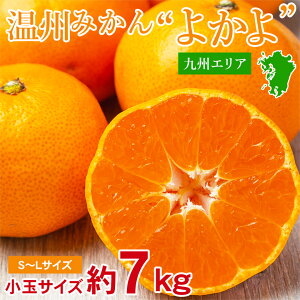 【10月中旬から順次発送】【九州みかん 小玉 S~L 約 7 kg】送料無料 九州みかん 小玉 S~L 約 7 kg 温州みかん 安心の自社検品 九州 福岡 長崎 熊本 佐賀 高糖度 極早生 晩成 みかん 国産 国産みか