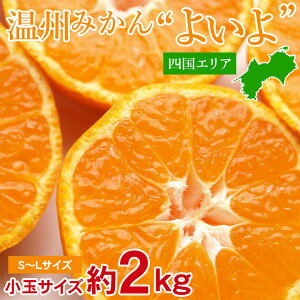 y10{珇zyl݂  S~L  2 kgz l݂  S~L  2 kg B݂ S̎Ќ  Q x ɑ Ӑ ݂ Y Y݂ ƒp ݂