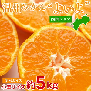 y10{珇zyl݂  S~L  5 kgz l݂  S~L  5 kg B݂ S̎Ќ  Q x ɑ Ӑ ݂ Y Y݂ ƒp ݂