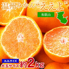 【10月下旬から順次発送】【和歌山みかん 大玉 2L 3L 約 2 kg】送料無料 和歌山みかん 大玉 2L 3L 約 2 kg 温州みかん 安心の自社検 有田 下津 和歌山 高糖度 極早生 晩成 みかん 国産 国産みかん ご家庭用 みかん ご自宅用 果物 くだもの