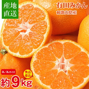 �y11�����{�ȍ~���珇���������z�y �Y�n���� �L�c�݂��� �� 9kg 2L 3L �G�i �D�i �z �������� �ƒ�p �a�̎R���Y �a�̎R�݂��� ���B�݂��� 10kg �T�C�Y���� ���Y ���Y�݂��� ���ƒ�p �a�̎R �݂�