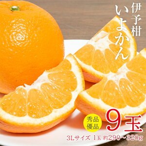 �y2�����{�ȍ~���珇���������z�y �ɗ\�� 9�� 3L�T�C�Y ��� �z �������� ���Q���Y �G�i �D�i �ɗ\�� ���悩�� 3L�T�C�Y��� 9�� �݂��� ���Y ���ƒ�p �I�����W �~�J�� �݂��� ������p �ʕ� 