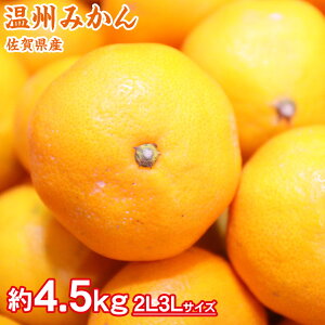 yzy ꌧY B݂ 2L3L 4.5kg z  ꌧY  Â݂ B݂ ݂ 2L 2L 3L 9kg ݂ Y Y݂ ƒp ݂ ꌧ  ݂ 